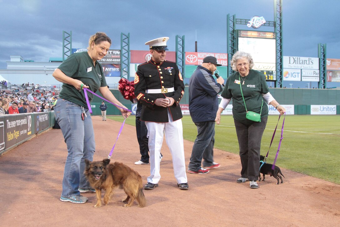 RENO, Nev. - Marine Staff Sgt. Aaron Bynaker, recruiter, Recruiting Substation 
Reno, adopted three-year-old Rodan, a Pomeranian and corgi mix, during 
Military Appreciation Night at Reno Aces Ballpark, June 5, 2015. Bynaker wasn't 
looking for a dog, but when he saw Rodan being carried by members of the 
Nevada Humane Society, he took interest. Bynaker said he liked the dog's happy 
personality, and the two seemed to click, so he decided to adopt Rodan that 
night. The Reno Aces recognized the adoption on field during the game. (U.S. 
Marine Corps photo by Staff Sgt. Jacob H. Harrer / released)
