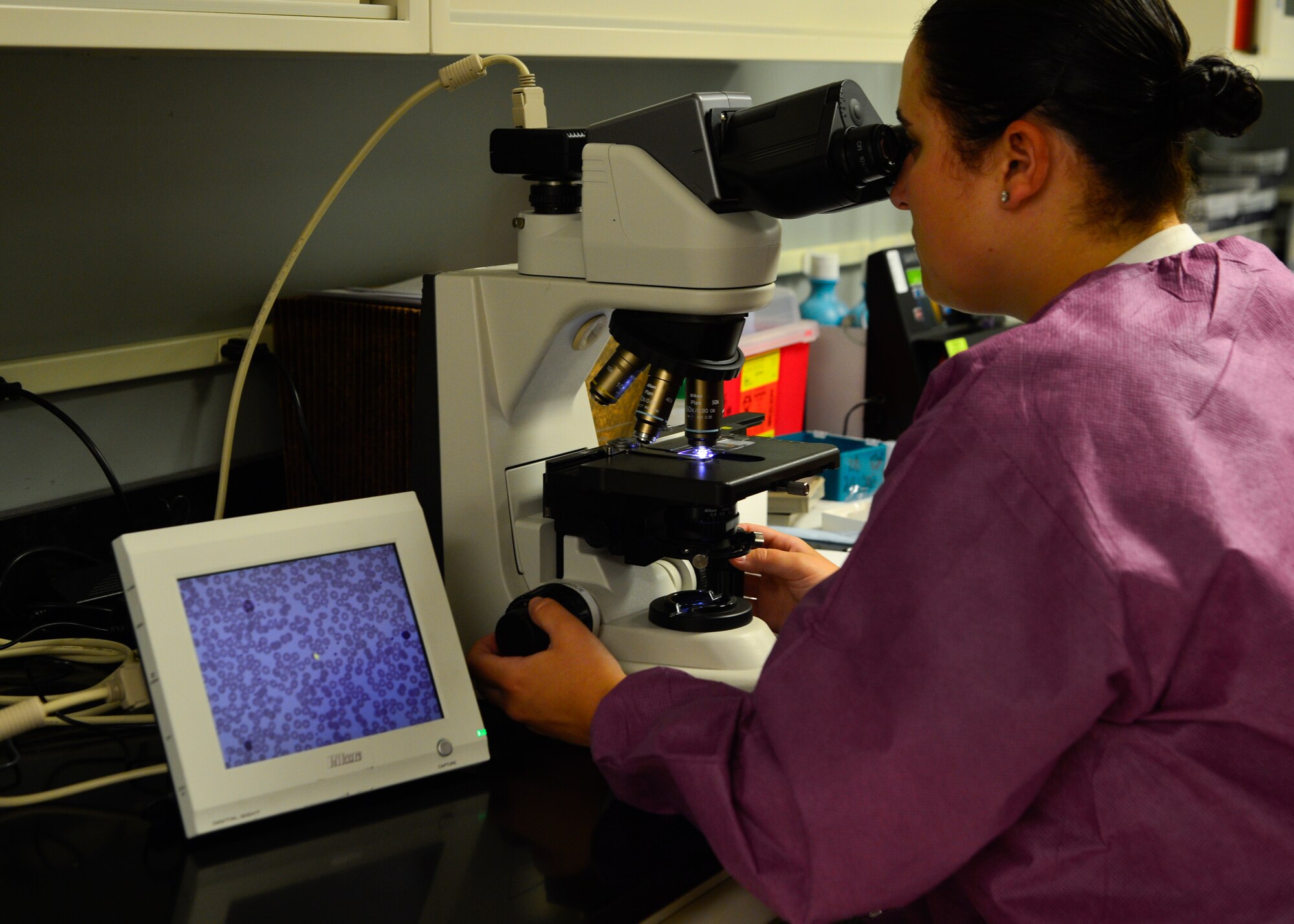 Senior Airman Taylor Altrichter, 436th Medical Support Squadron Medical Laboratory technician, uses a Nikon microscope to view hematology slides survey June 5, 2015, at the Clinical Laboratory on Dover Air Force Base, Del. The College of American Pathologists (CAP) sends random hematology slide surveys to ensure technicians are identifying the cells correctly. (U.S. Air Force photo/Airman 1st Class William Johnson)