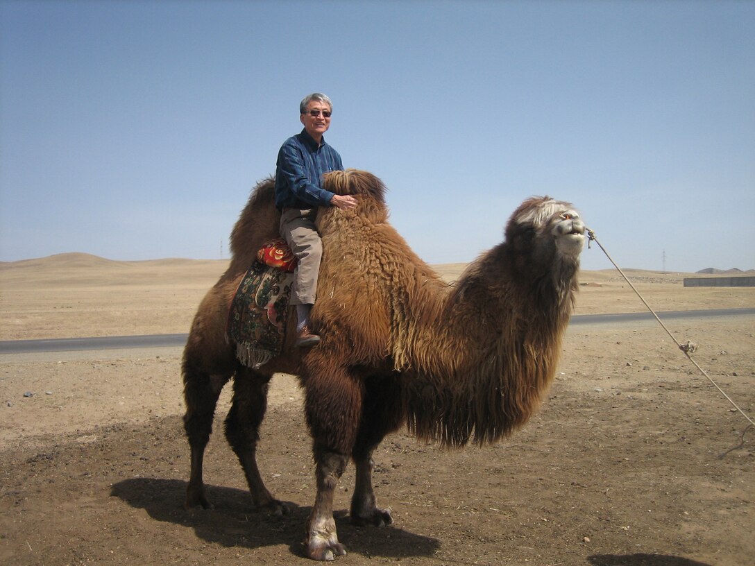 Paul Yoo, workshop coordinator and special assistant to Far East District engineering division chief, experiences a part of the Mongolian culture, riding a camel.