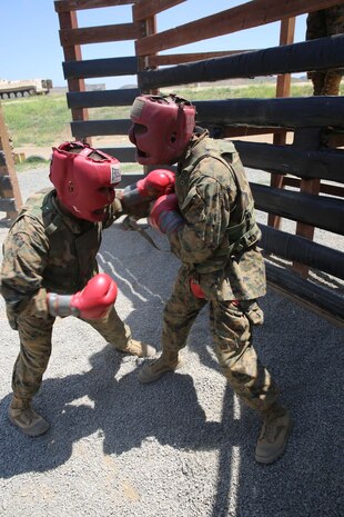Recruit David E. Rogers (left) and Recruit Jason T. Johnson, Fox Company, 2nd Recruit Training Battalion, exchange punches during a body sparring exercise at Marine Corps Base Camp Pendleton, June 2. Rogers is Humboldt County, Calif., native and was recruited out of Recruiting Station San Francisco.  Johnson is a Nacogdoches, Texas, native, and was recruited out of Recruiting Station Houston. Today, all males recruited from west of the Mississippi are trained at MCRD San Diego. The depot is responsible for training more than 16,000 recruits annually. Company F is scheduled to graduate from recruit training on June 12.