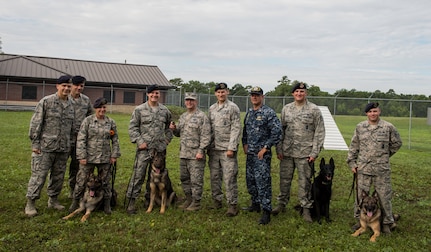 Col. Jeffrey DeVore poses with Airmen, military working dogs and leadership from the 628th Security Forces Squadron  June 10, 2015 at Joint Base Charleston, S.C. DeVore, the Joint Base Charleston commander, visited the Airmen and their furry colleagues to thank them for their service and for protecting the installation. The MWD team presented the commander with a commemorative coin. (U.S. Air Force photo/Senior Airman Jared Trimarchi) 