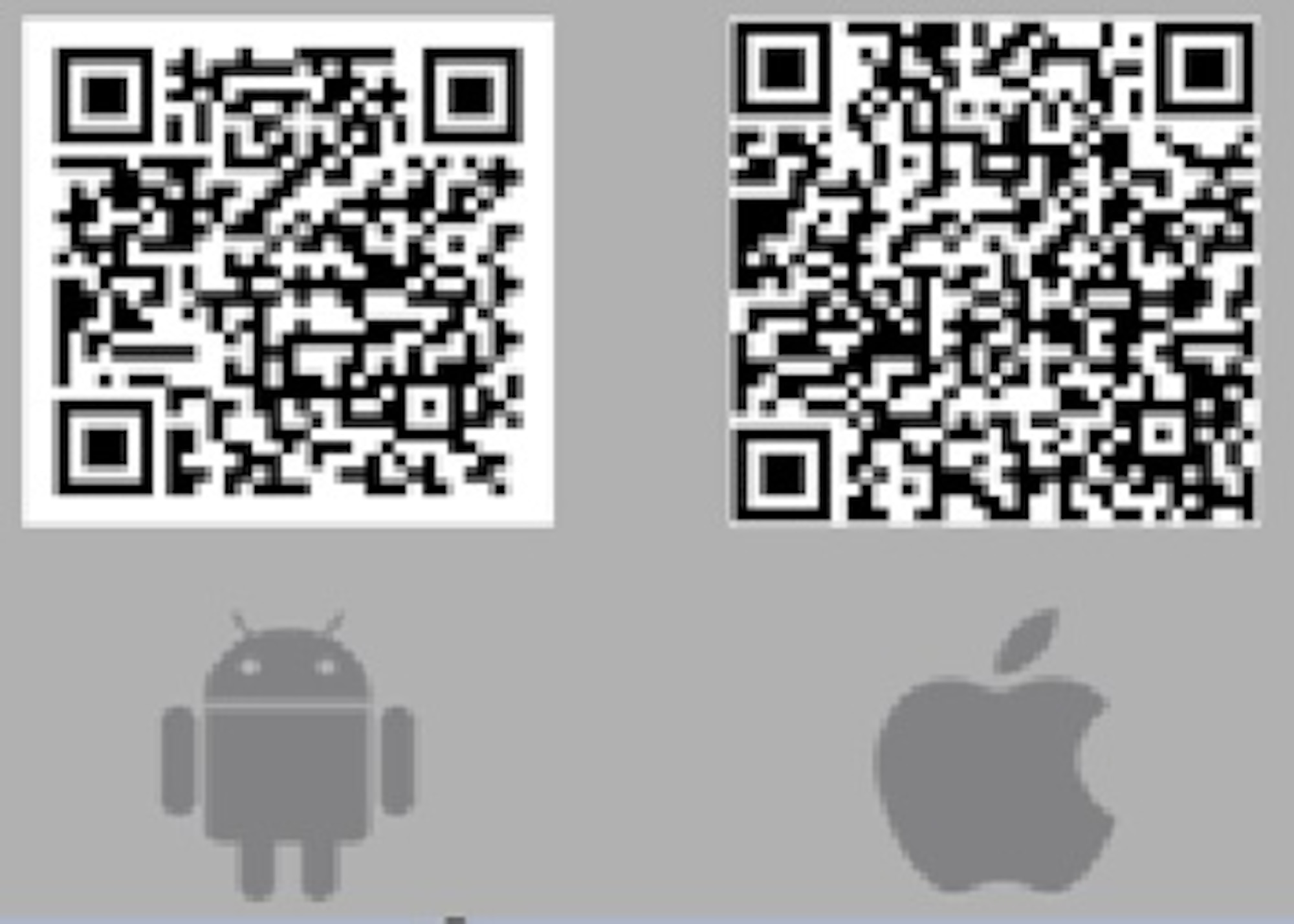 The Joint Base Charleston Integrated Delivery System has recently launched a mobile app to provide information for various events and services on Joint Base Charleston. Users can scan the quick response code (QRC) or search for “Joint Base Charleston IDS.”  (Courtesy graphic)