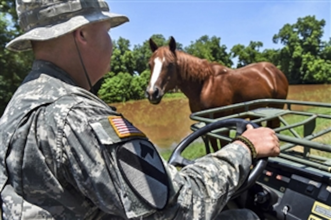 Army Staff Sgt. Raymond Morgan patrols a levee in Bossier City, La., June 9, 2015, inspecting for seepage or other potential problems following flooding along the Red River. Morgan is a cavalry scout assigned to the Louisiana National Guard's 2nd Squadron, 108th Cavalry Regiment. The guardsmen transported water and other supplies to flooded areas.