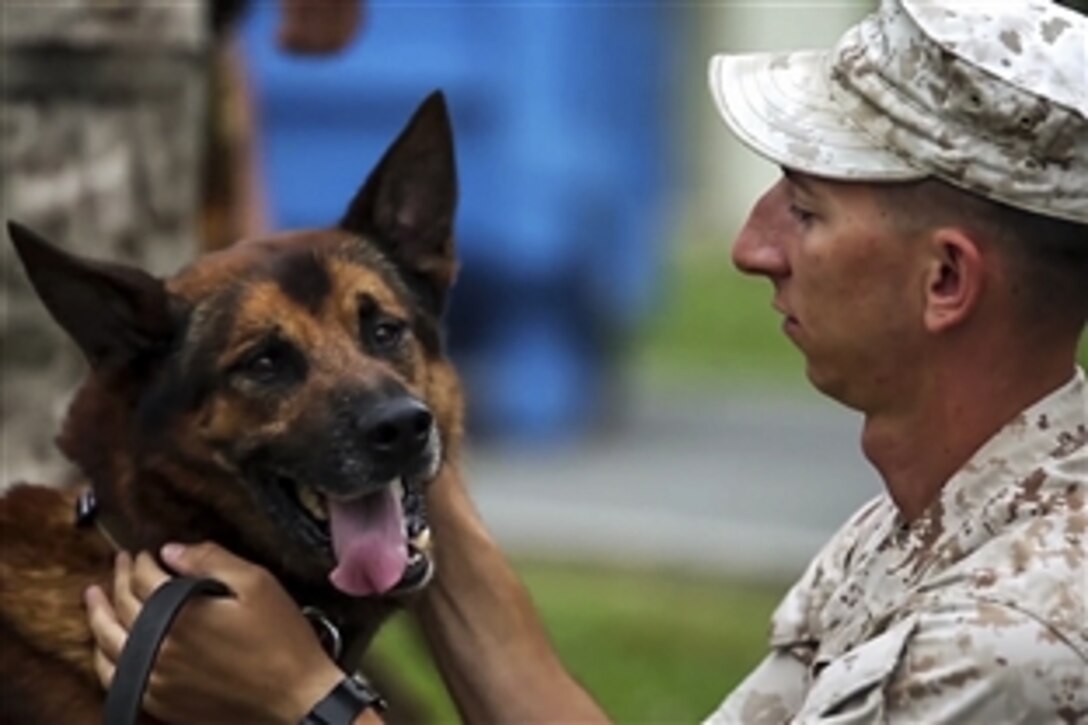 U.S. Marine Cpl. Cameron Chapman, a working dog handler, talks about the relationships that form between handlers and their dogs, and the role of Provost Marshal's Office K9 units on military bases. Chapman is assigned to the marshal's office on Marine Corps Base Camp Butler, Japan.


