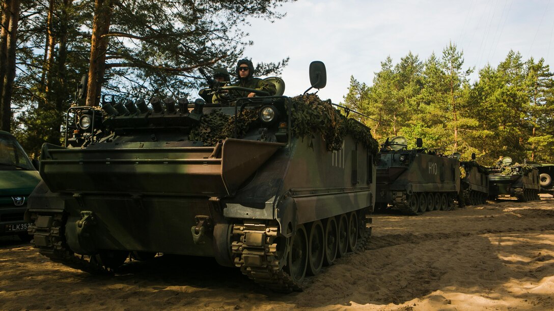 Lithuanian forces are teamed with U.S. Marines from the Black Sea Rotational Force during Exercise Saber Strike at the Pabrade Training Area, Lithuania, June 9, 2015. The allies coordinated multipronged attacks on enemy positions during the exercise. 