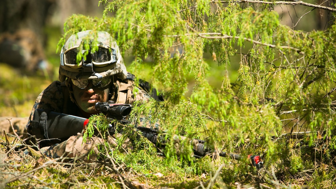 Lithuanian forces are teamed with U.S. Marines from the Black Sea Rotational Force during Exercise Saber Strike at the Pabrade Training Area, Lithuania, June 9, 2015. The allies coordinated multipronged attacks on enemy positions during the exercise. 