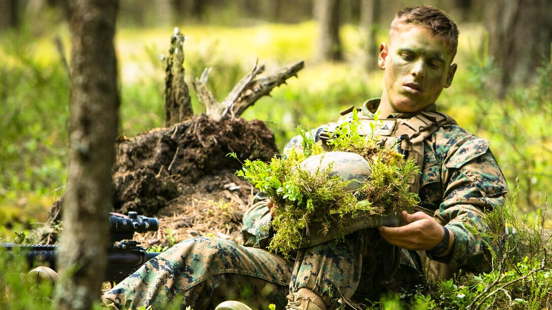Lithuanian forces are teamed with U.S. Marines from the Black Sea Rotational Force during Exercise Saber Strike at the Pabrade Training Area, Lithuania, June 9, 2015. The exercise brings NATO allies and other partner nations together for a multilateral training event designed to promote regional stability and security, strengthen partnerships, and foster trust.