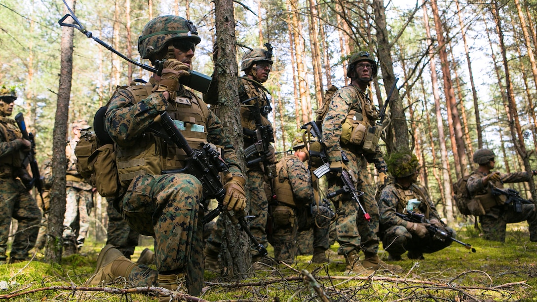 Lithuanian forces are teamed with U.S. Marines from the Black Sea Rotational Force during Exercise Saber Strike at the Pabrade Training Area, Lithuania, June 9, 2015. The exercise brings NATO allies and other partner nations together in eastern Europe for a multilateral training event designed to promote regional stability and security, strengthen partnerships, and foster trust.