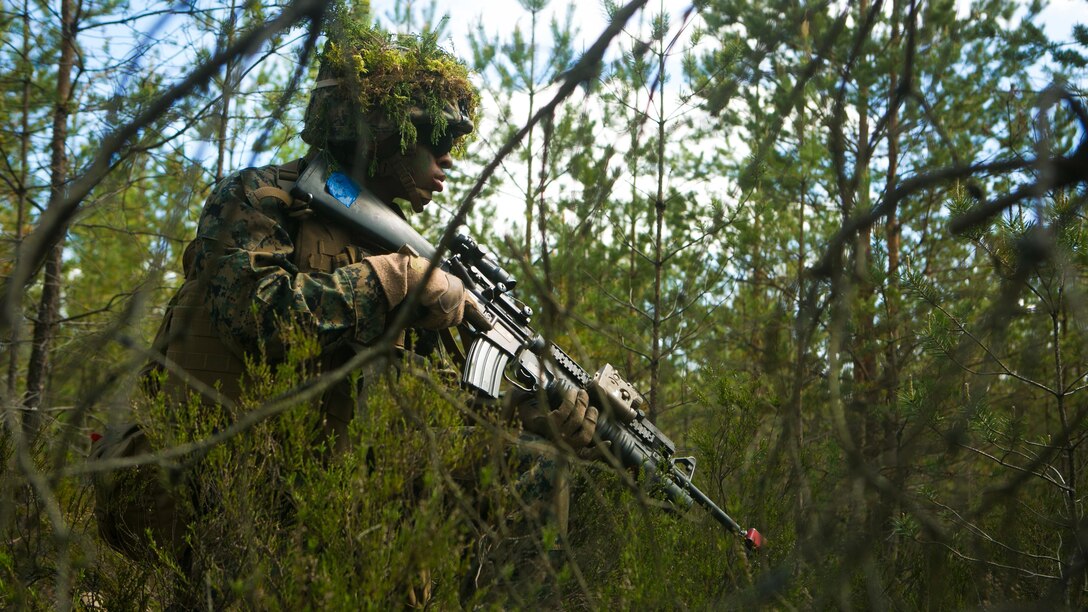 Lithuanian forces are teamed with U.S. Marines from the Black Sea Rotational Force during Exercise Saber Strike at the Pabrade Training Area, Lithuania, June 9, 2015. The exercise brings NATO allies and other partner nations together in eastern Europe for a multilateral training event designed to promote regional stability and security, strengthen partnerships, and foster trust.