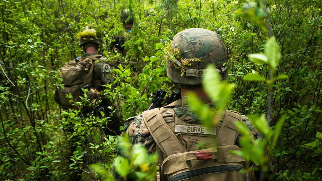 Lithuanian forces are teamed with U.S. Marines from the Black Sea Rotational Force during Exercise Saber Strike at the Pabrade Training Area, Lithuania, June 9, 2015. The allies coordinated multipronged attacks on enemy positions with other participating forces during the exercise. 