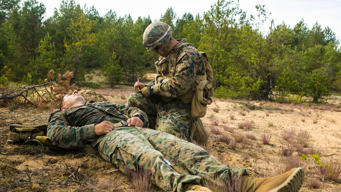 Lithuanian forces are teamed with U.S. Marines from the Black Sea Rotational Force during Exercise Saber Strike at the Pabrade Training Area, Lithuania, June 9, 2015. The exercise brings NATO allies and other partner nations together in eastern Europe for a multilateral training event designed to promote regional stability and security, strengthen partnerships, and foster trust. 