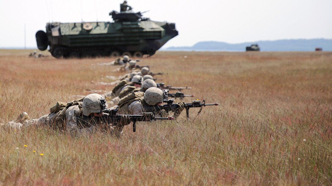 Marines with 1st Battalion, 6th Marine Regiment honed skills during an amphibious assault rehearsal in Sweden during BALTOPS 2015 June 13, 2015. Marine Corps from Sweden, Finland, the U.K. and U.S. made up the amphibious assault force during BALTOPS 2015, an annual exercise with 17 NATO and partner nations. 