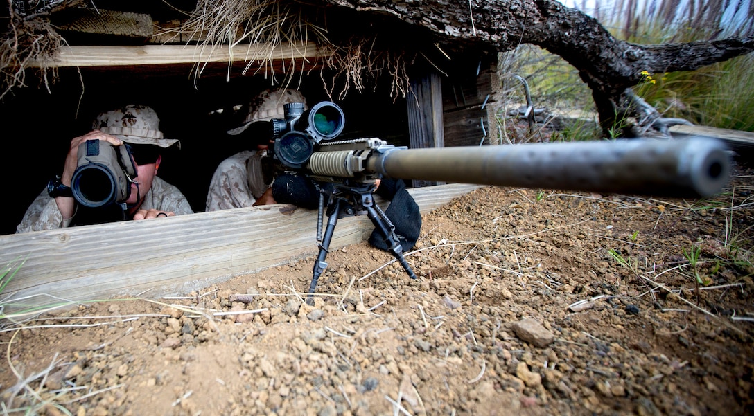 Marines work as a sniper-spotter team to assess targets down range using the M110 Semi-Automatic Sniper System during Operation Lava Viper at Pohakuloa Training Area, Hawaii, June 3, 2015.