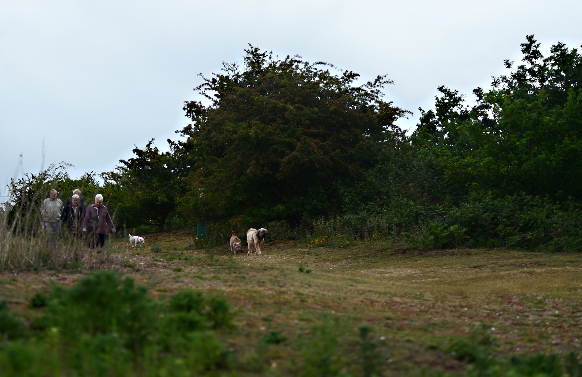 Local residents walk with their dogs at Maidscross Hill Local Nature Reserve near Lakenheath, England, June 9, 2015. The reserve is an ideal place for walking pets and observing  48th Fighter Wing aircraft departures. (U.S. Air Force photo by Senior Airman Erin O’Shea/Released)