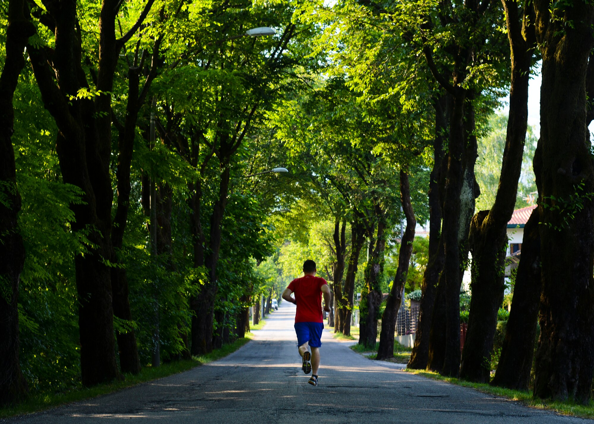With mountains, lakes and rivers minutes away, the area around Aviano Air Base, Italy, is ideal for a run. Venturing off-base for a jog might be the motivation needed to pump up any woeful Wyvern. (U.S. Air Force photo by Senior Airman Austin Harvill/Released)