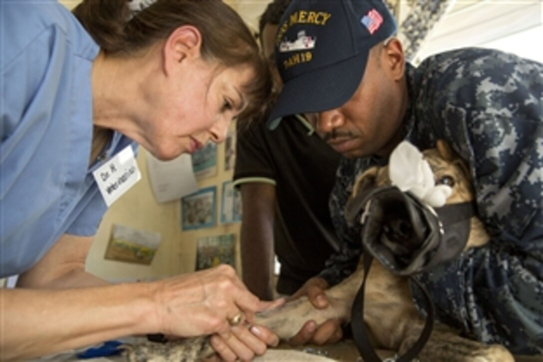 Dr. Cynthia Hoobler, a veterinarian from World Vets, works with U.S. Navy Petty Officer 1st Class Alfredo Winter to prepare a feral dog for surgery during a veterinarian clinic at the Fiji Animal Clinic during Pacific Partnership 2015 in Sauvsauv, Fiji, June 12, 2015. The Military Sealift Command hospital ship USNS Mercy is in the city for its first mission port of the exercise.