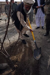 Engineer Lali Zadran, Paktya director of agriculture and irrigation, plants a tree at Forward Operating Base Gardez during an Afghan New Year celebration, March 27, 2011. The trees were donated by the Oklahoma National Guard's 2-45th Agribusiness Development Team as a symbol of growth in the province.