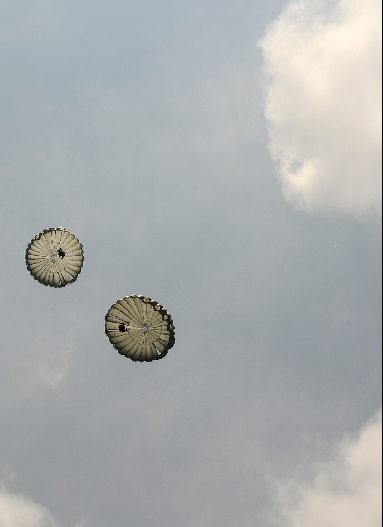Members of the 404th Civil Affairs Battalion parachute to the ground after jumping out of a CH-47 Chinook over Joint Base McGuire-Dix-Lakehurst, N.J. June 12, 2015. The 404th CAB is a Reserve Airborne unit stationed on JB MDL. (U.S. Air Force photo by Airman 1st Class Joshua King)