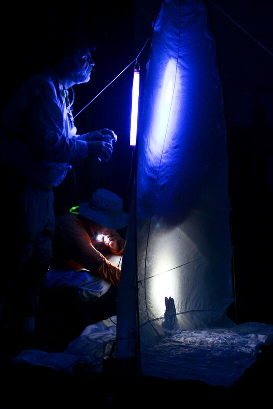 Dr. Art Evans, entomology researcher, left, and Timothy Christensen, 733rd Civil Engineer Division Conservation Branch chief, search for insects against a black light sheet at Fort Eustis, Va., June 12, 2015. The duo collected insects for research which will help manage various habitat types on the installation. (U.S. Air Force photo by Senior Airman Kimberly Nagle/Released)  