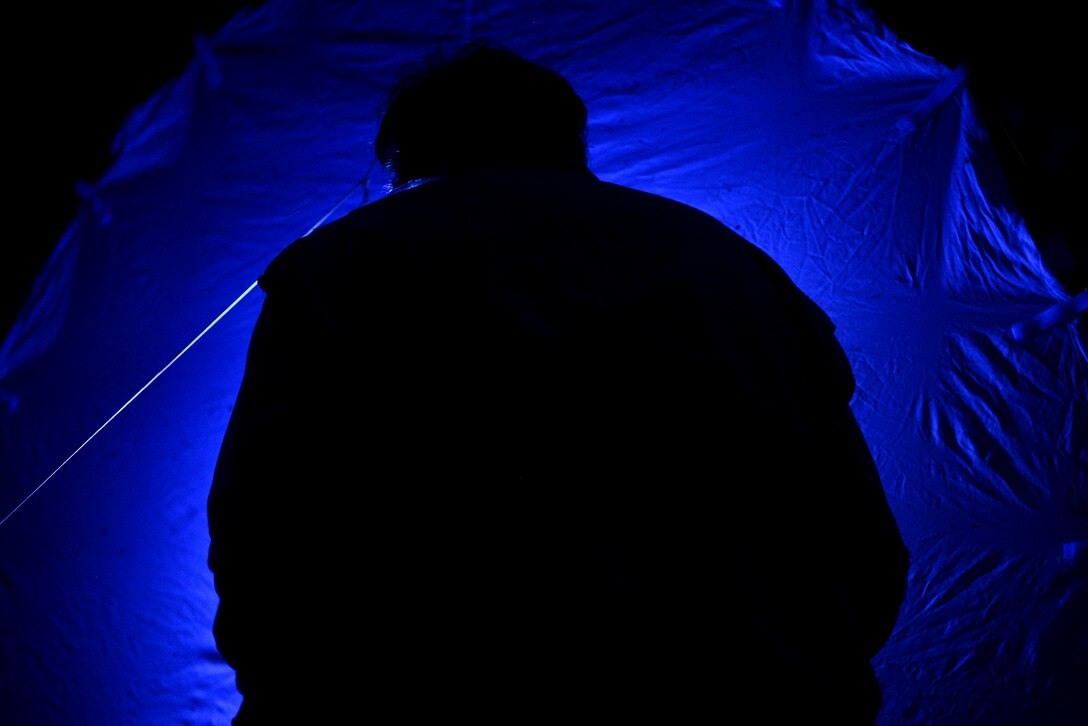 Dr. Art Evans, entomology researcher, inspects a black light sheet for insects at Fort Eustis, Va., June 12, 2015. The black light attracts a different range of insects, which aids to the effectiveness of Evans’ research of the insect variations on the installation. (U.S. Air Force photo by Senior Airman Kimberly Nagle/Released)  