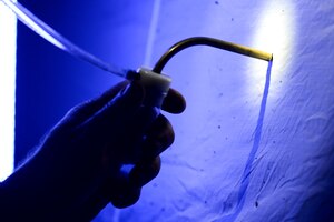 Dr. Art Evans, entomology researcher, utilizes a mouth-operated aspirator at Fort Eustis, Va., June 12, 2015. Evans aided the 733rd Civil Engineer Division Environmental Element Range Control/Integrated Training Area Management staff’s initiative to examine forest insect species on the installation’s training lands. (U.S. Air Force photo by Senior Airman Kimberly Nagle/Released)  