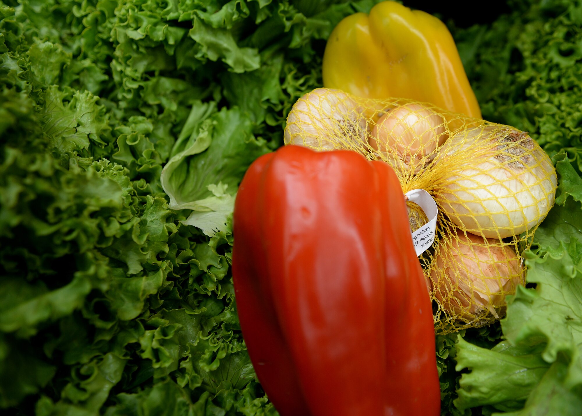 Organic produce sits on display in the commissary’s produce section, June 15, 2015, at Aviano Air Base, Italy. The commissary has increased its organic fruit and vegetable options for patrons due to a high demand. (U.S. Air Force photo by Airman 1st Class Cary Smith/Released)