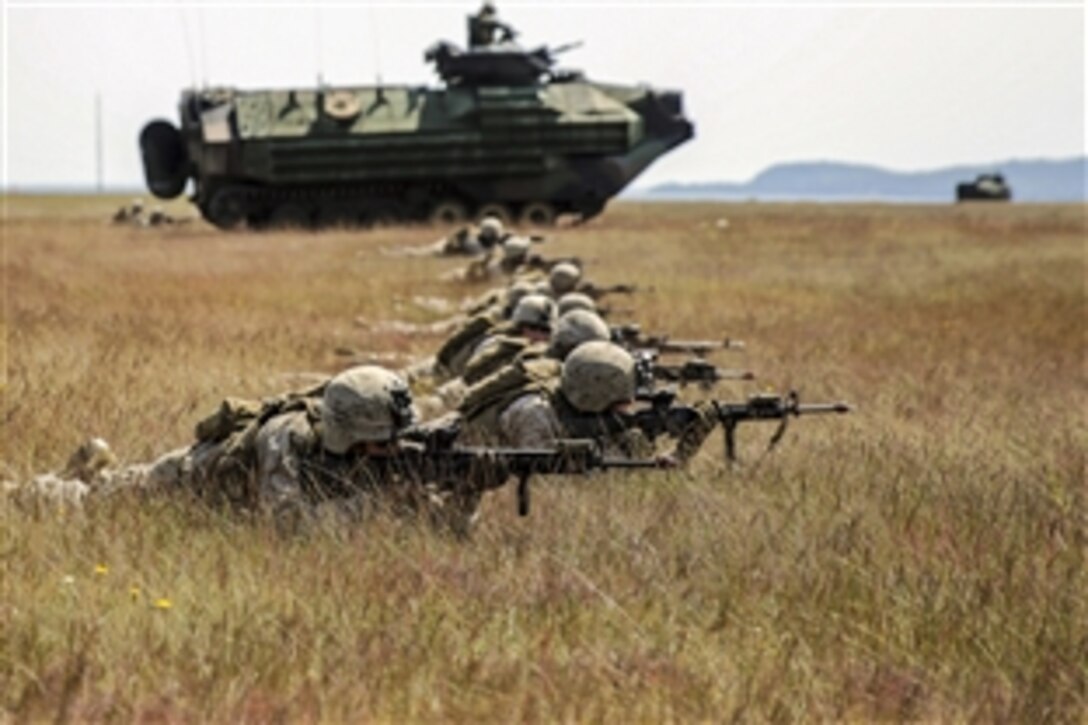 U.S. Marines honed skills during an amphibious assault rehearsal as part of Baltic Operations 2015 in Sweden, June 13, 2015. The Marines are assigned to 1st Battalion, 6th Marine Regiment.  Seventeen NATO and partner nations are participating in the 43rd iteration of the multinational maritime exercise in Poland, Sweden, Germany and throughout the Baltic Sea, June 5-20, 2015.