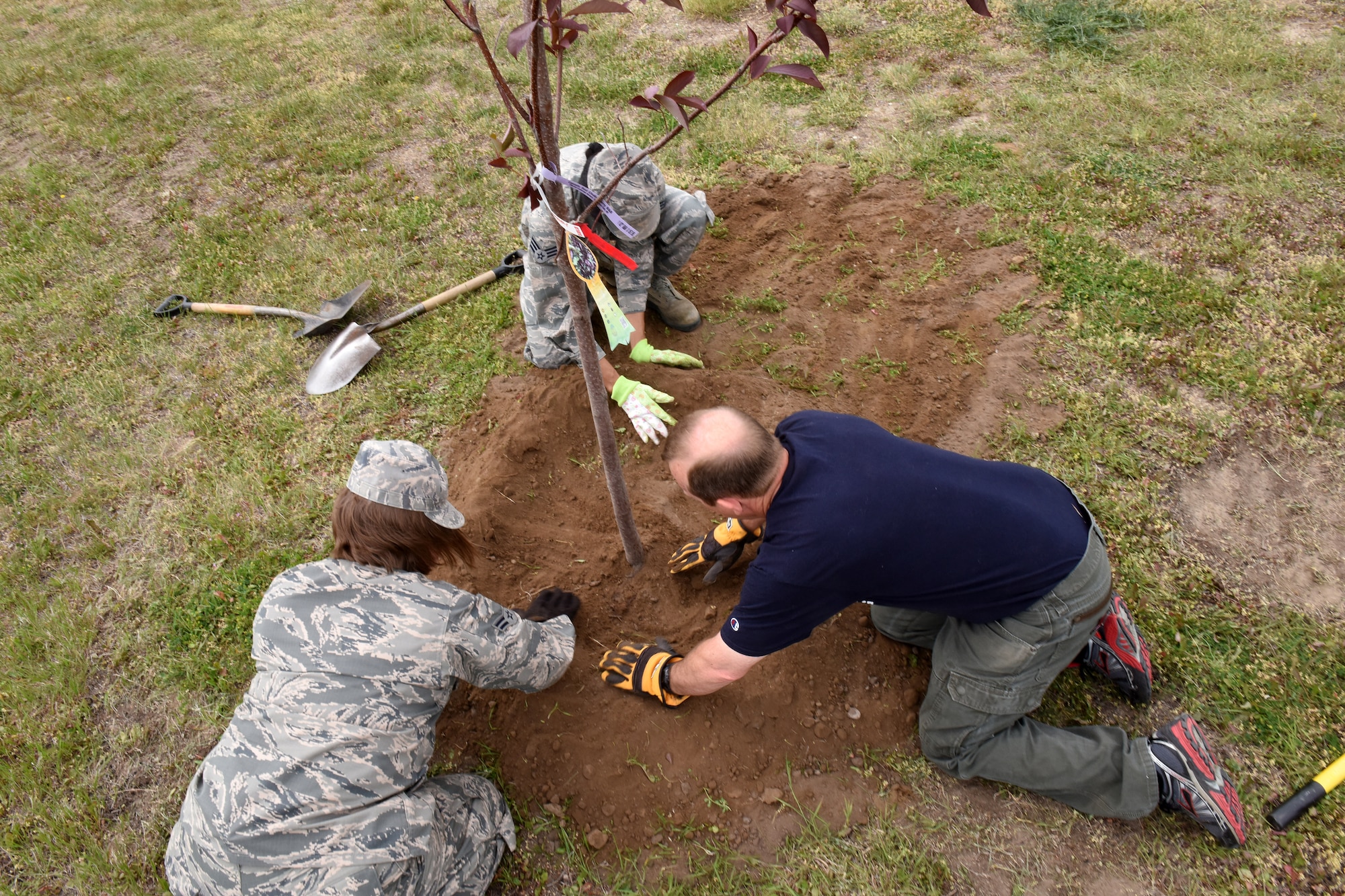 Members of Team Malmstrom and the local community plant trees in front of the base education center June 18, 2015, at Malmstrom Air Force Base, Mont. Arbor Day is a holiday in which individuals and groups are encouraged to plant and care for trees.  (U.S. Air Force photo/Chris Willis) 