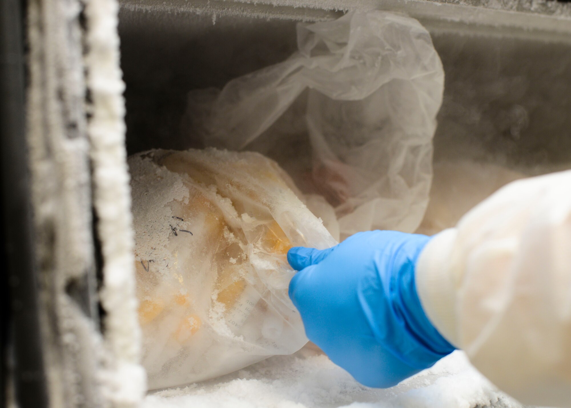A 31st Medical Support Squadron laboratory technician grabs a bag of frozen plasma, June 15, 2015, at Aviano Air Base, Italy. The laboratory keeps plasma and blood on hand for medical emergencies. (U.S. Air Force photo by Senior Airman Austin Harvill/Released)