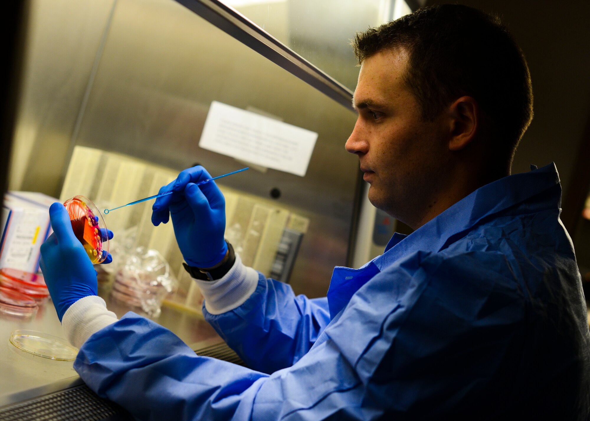 U.S. Air Force Tech. Sgt. Nicholas Igl, 31st Medical Support Squadron laboratory flight chief, examines a bacteria culture, June 15, 2015, at Aviano Air Base, Italy. Lab technicians use bacteria cultures to identify an infection so a patient’s doctor can provide appropriate medication. (U.S. Air Force photo by Senior Airman Austin Harvill/Released)