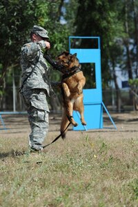 Army Sgt. Jeffrey R. Holyst, 11th Military Working Dog Detachment, Connecticut Army National Guard, gets "Jury," a MWD to bite his toy while U.S. Soldiers and Airmen exchanged K-9 training techniques with their Philippine military counterparts at Clark Field, Philippines, during Exercise Balikatan 2011, April 7, 2011. The training helps maintain readiness and sustain the long-term security assistance relationship shared between the two countries.