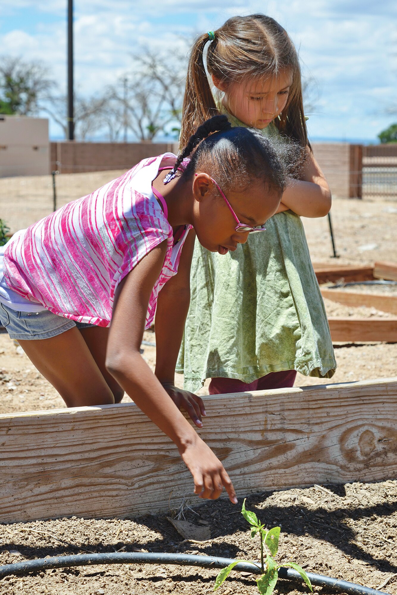 Alyssa Hudlin and Chloe Sanderson look at bug bites on the plants in the Youth Center garden.  The Youth Center is giving young folks at Kirtland a good foundation in gardening through the center’s Garden Club. (Photo by Jamie Burnett)