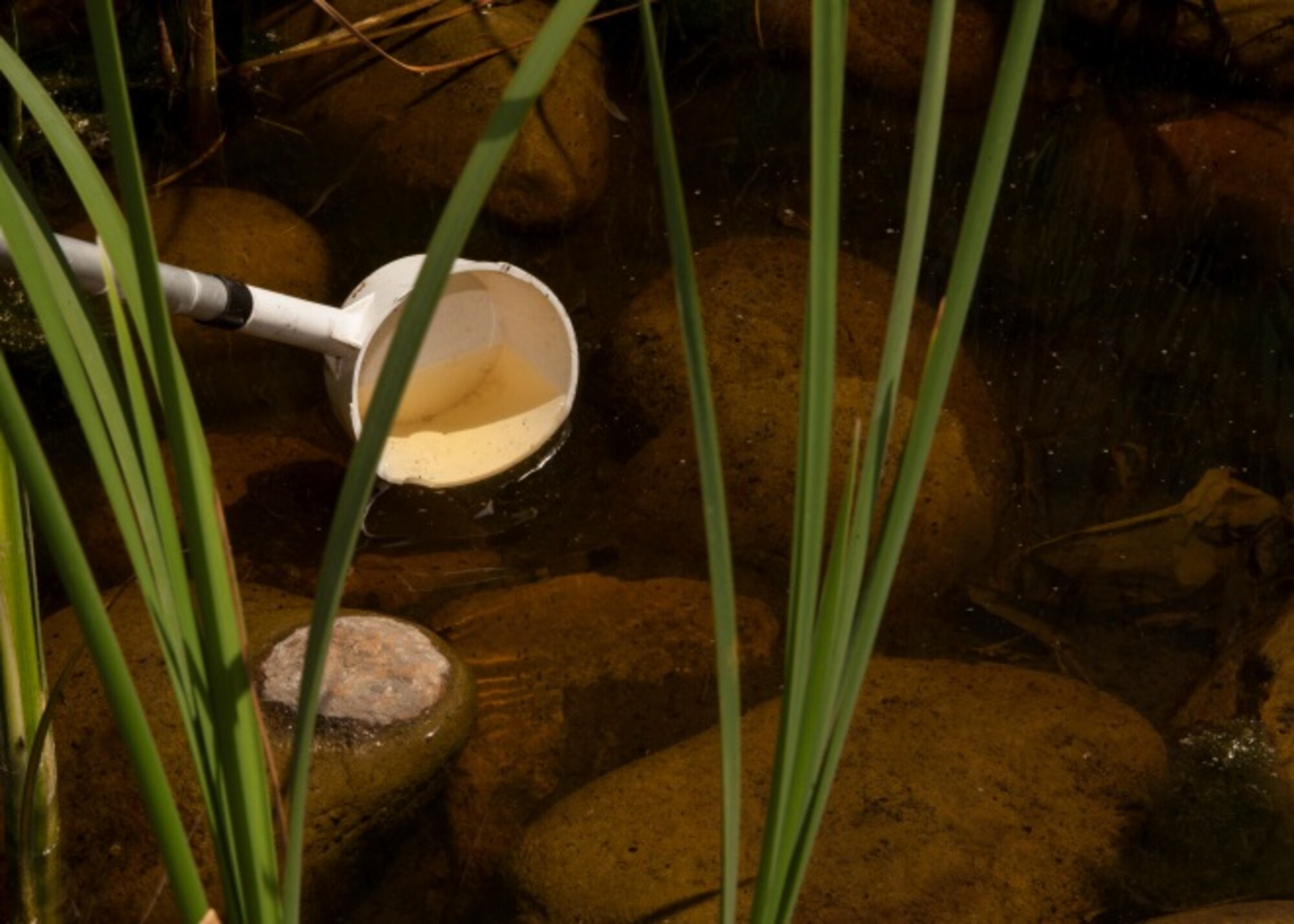 Tech. Sgt. Seung Paeng, noncommissioned officer in charge of pest management, tests standing water for mosquito larvae at Minot Air Force Base, N.D., June 18, 2015. Once Paeng tallies the areas most likely to breed mosquitos, he can more effectively prevent the spread of the pests. (U.S. Air Force photo/Airman 1st Class Christian Sullivan)