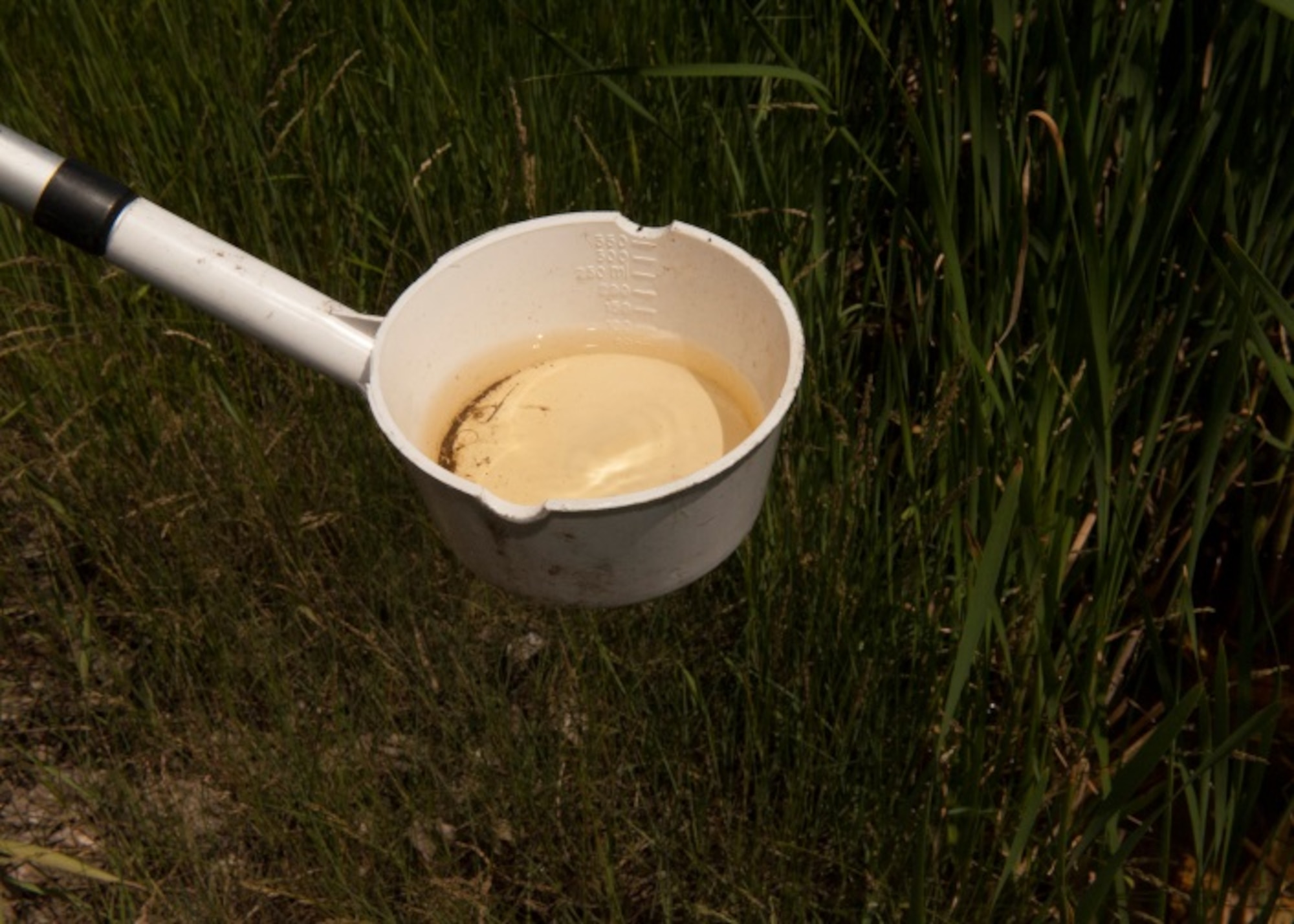 Tech. Sgt. Seung Paeng, noncommissioned officer in charge of pest management, tests standing water for mosquito larvae at Minot Air Force Base, N.D., June 18, 2015. Tallying the amount of larvae in each area, Paeng can take steps to prevent further breeding on base. (U.S. Air Force photo/Airman 1st Class Christian Sullivan)