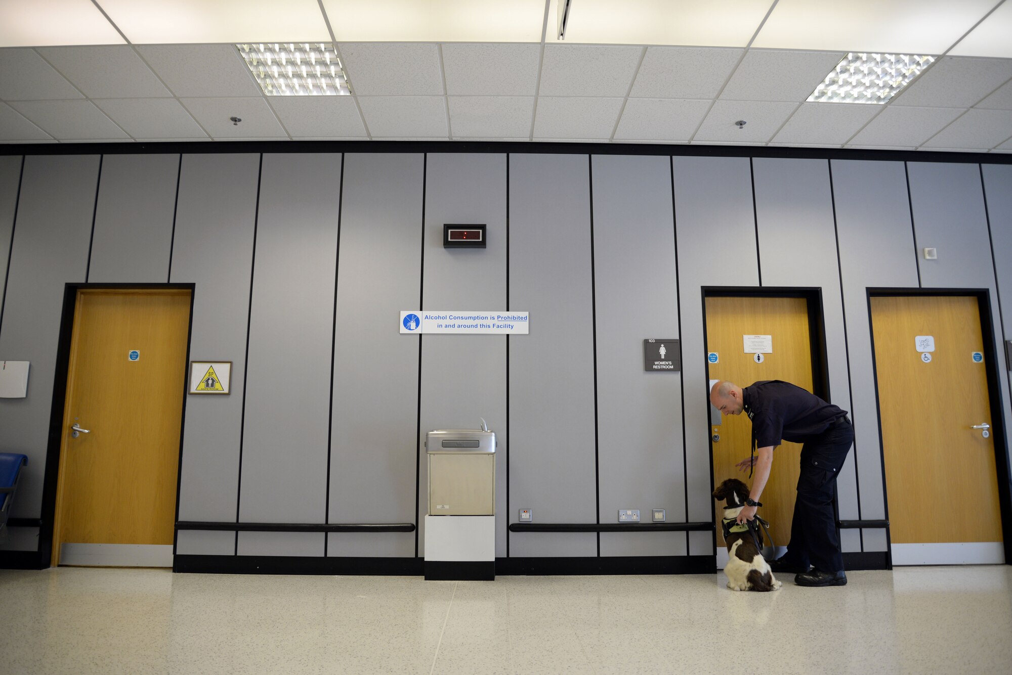 A U.K. Border Force member conducts a detection sweep of the passenger terminal June 16, 2015, on RAF Mildenhall, England. Members of the 100th SFS and U.K. Border Force conducted sweeps of the building with their working dogs to strengthen detection methods and learn potential training techniques. (U.S. Air Force photo by Senior Airman Christine Halan/Released)