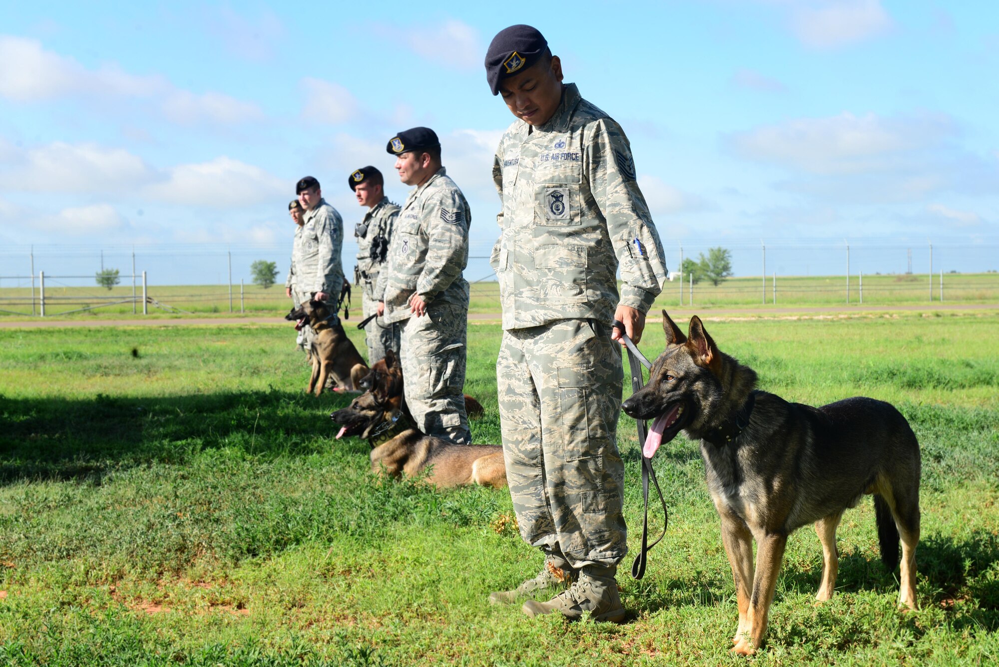 U.S. Air Force K9 handlers and military working dogs from the 27th Special Operations Security Forces Squadron line up to pay their respects to military working dog Baron at a ceremony June 17, 2015 at Cannon Air Force Base, N.M. After working for six years, including multiple deployments to Southeast Asia, Baron enjoyed six years of retired life with Tech. Sgt. Esther Standridge, 27th Special Operations Wing inspector general assistant director of complaints, and her family. (U.S. Air Force photo/Airman 1st Class Shelby Kay-Fantozzi)