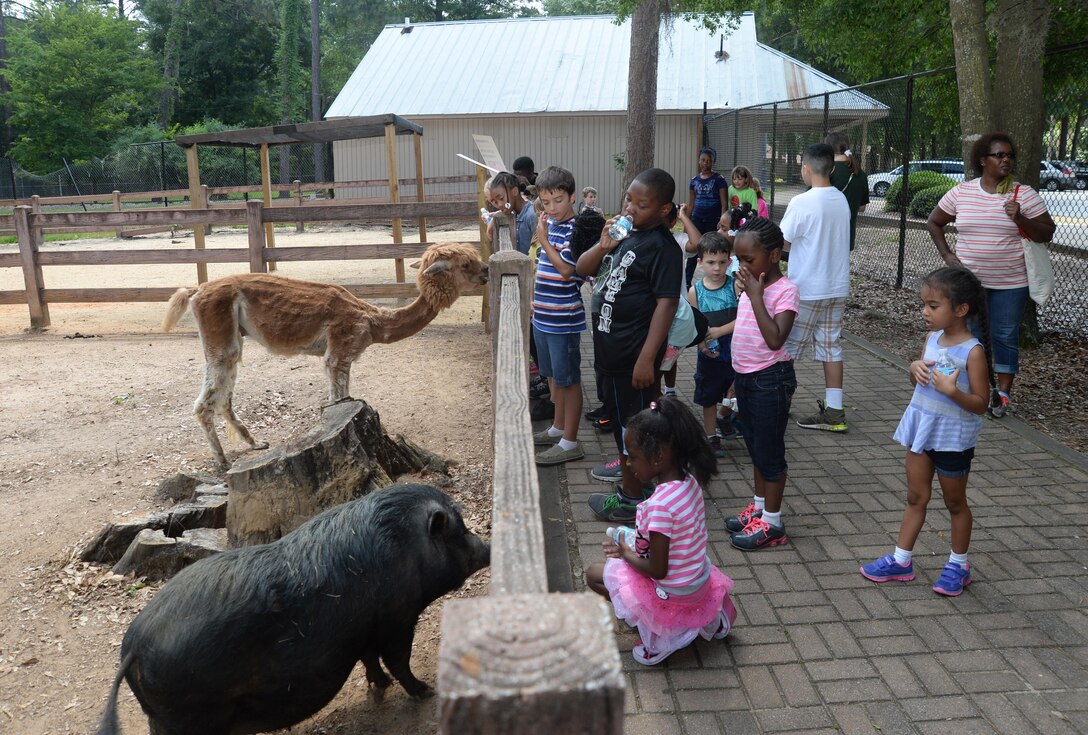 Summer Camp participants continue their summer adventures on a safari to Chehaw Wild Animal Park, Albany, Georgia, June 8. During their visit, students chatted about and fed some the animals at Ben’s Barnyard, a petting zoo. The activities are offered as a part of Marine Corps Logistics Base Albany’s Child Development Center’s 2015 Summer Camp Program, which will run through July 31.
