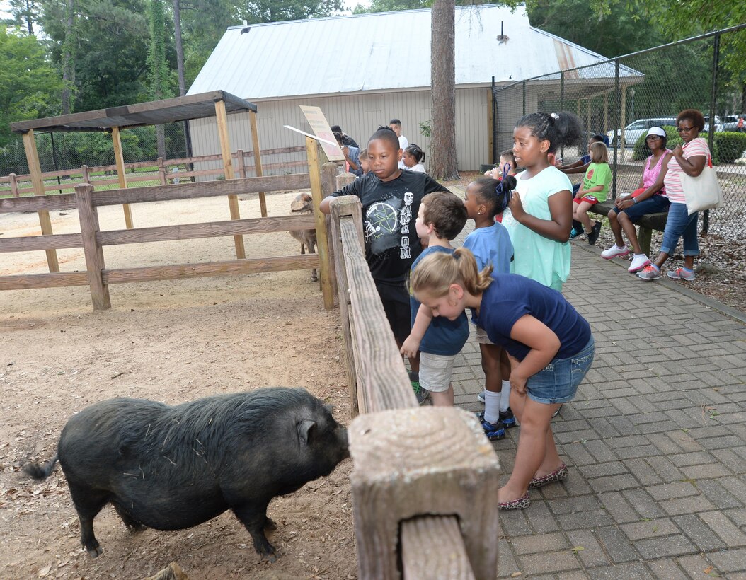 Marine Corps Logistics Base Albany’s Child Development Center’s 2015 Summer Camp Program staff host a trip to Chehaw Wild Animal Park, Albany, Georgia, June 8. School-age and Pre-K youth participating in the camp, started their adventure at Ben’s Barnyard, a petting zoo and explored other areas of the park during their visit. The field trip is one of several planned for the students over the next month.