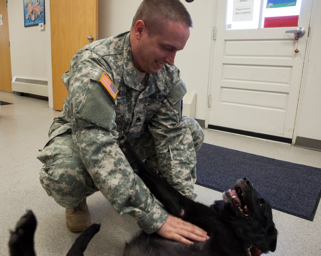 U.S. Army Staff Sgt. Seth Williams, non-commissioned officer in charge of F.E. Warren Air Force Base's  U.S. Army Veterinarian treatment facility, pets a customer's dog prior to their appointment, June 23, 2015. The treatment facility offers basic animal pet care for anyone with access to base. (U.S. Air Force photo by Lan Kim)