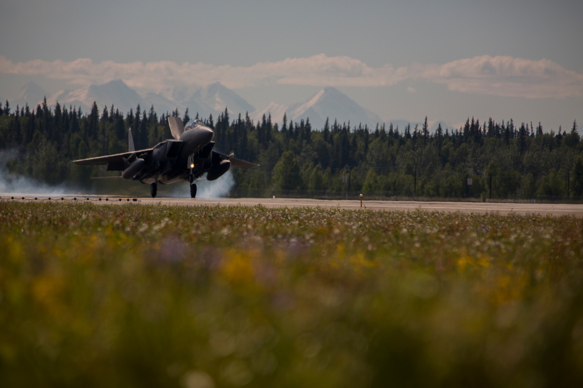 A U.S. Air Force F-15E Strike Eagle assigned to the 335th Fighter Squadron, 4th Fighter Wing, Seymour Johnson Air Force Base, North Carolina, lands at Eielson Air Force Base, Alaska, June 18, 2015, following a training mission during Exercise Northern Edge 2015. Northern Edge is Alaska’s premier joint training exercise designed to practice operations, techniques and procedures as well as enhance interoperability among the services. Thousands of Airmen, Soldiers, Sailors, Marines and Coast Guardsmen from active duty, Reserve and National Guard units are involved. (U.S. Marine Corps photo by Cpl. Suzanne Dickson/ Released)