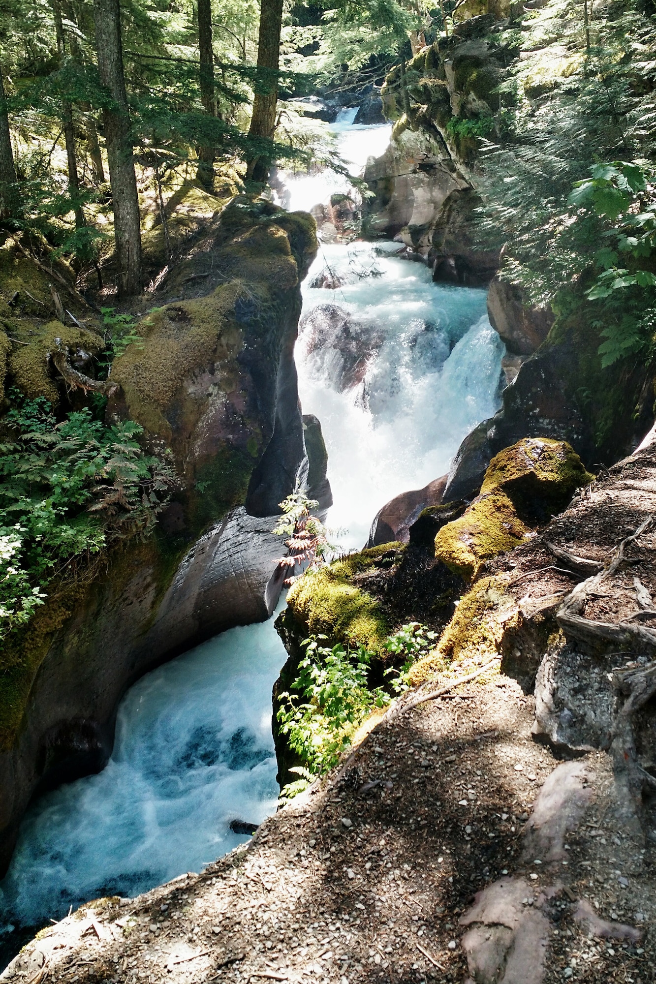 For the nature lovers out there, Glacier National Park has to be close to heaven.  It has more than 700 miles of hiking trails, 762 lakes and covers 1,583 square miles of northwest Montana and southern Canada.  If you are looking for a good weekend trip filled with crisp, clean mountain air, and breathtaking views, I would highly encourage a visit to one of the nation’s most beautiful parks. (Courtesy photo)