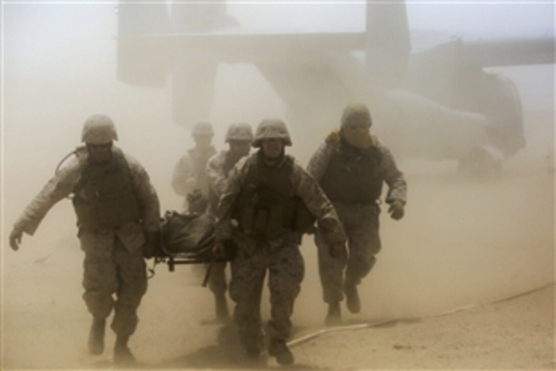 Marines extract a simulated casualty from an aircraft for a mass casualty exercise during a training exercise on Marine Corps Air Ground Combat Center Twentynine Palms, Calif., June 20, 2015. The Marines are assigned to the 4th Medical Battalion, 4th Marine Logistics Group, Marine Corps Forces Reserve.
