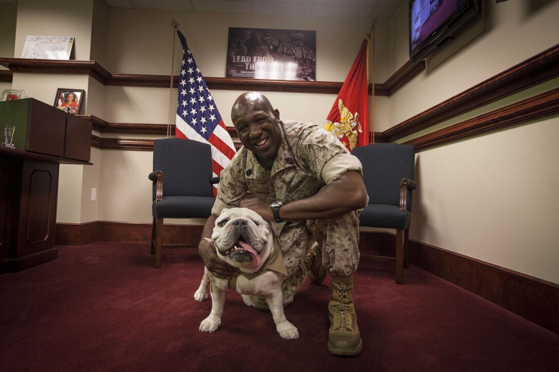 Cpl. Chesty XIV, mascot of Marine Barracks Washington, along with his handler, Sgt. Katie Maynard, visit the Office of the Sergeant Major of the Marine Corps at the Pentagon, Arlington, Va., June 25, 2015. (U.S. Marine Corps photo by Sgt Melissa Marnell/Released)
