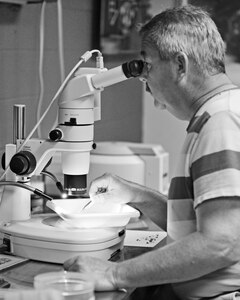 Mitchel Burcham, 633rd Civil Engineering Squadron Pest Management technician, looks at mosquito samples through a microscope at Langley Air Force Base, Va., June 18, 2015. After collecting samples from the field, technicians search for disease factors related to the West Nile and Eastern Equine encephalitis viruses. (U.S. Air Force photo by Airman 1st Class Devin S. Michaels/Released)