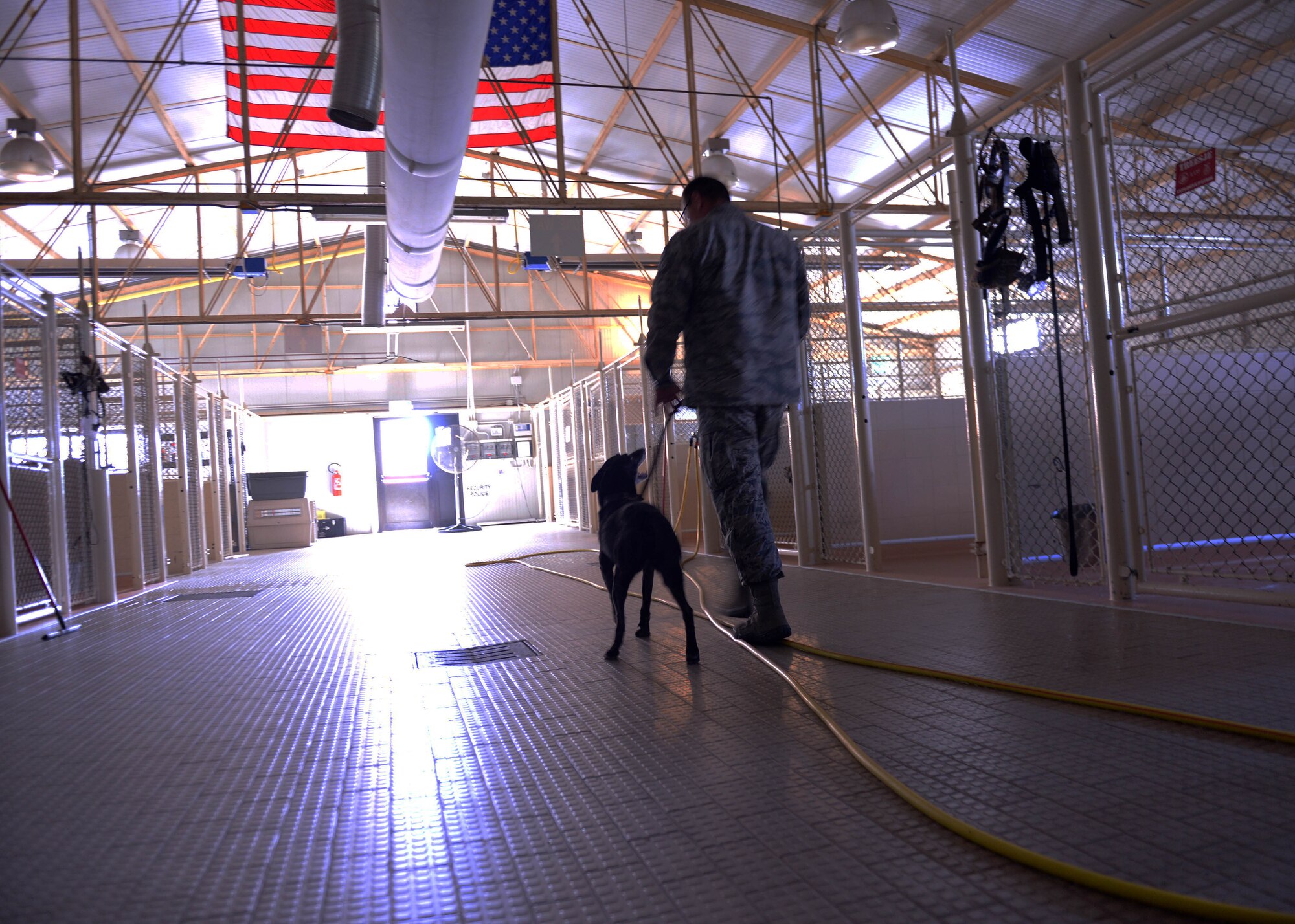 U.S. Air Force Tech Sgt. Gabriel Travers, 31st Security Forces Squadron military working dog handler walks Tora, 31st SFS explosives and patrol MWD, out of the kennels to play, June 23, 2015, at Aviano Air Base, Italy. Tora recently retired and was adopted by her handler’s family. (U.S. Air Force photo by Airman 1st Class Cary Smith/Released)   