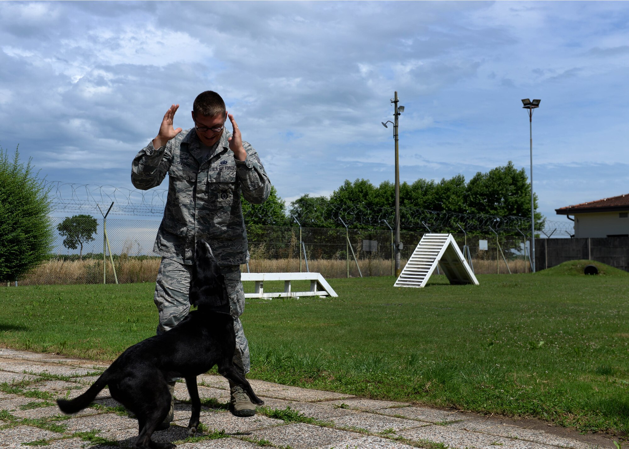 U.S. Air Force Tech Sgt. Gabriel Travers, 31st Security Forces Squadron military working dog handler and Tora, 31st SFS explosives and patrol MWD, play outside in the training grounds, June 23, 2015, at Aviano Air Base, Italy. Tora recently retired and was adopted by her handler’s family. (U.S. Air Force photo by Airman 1st Class Cary Smith/Released)  