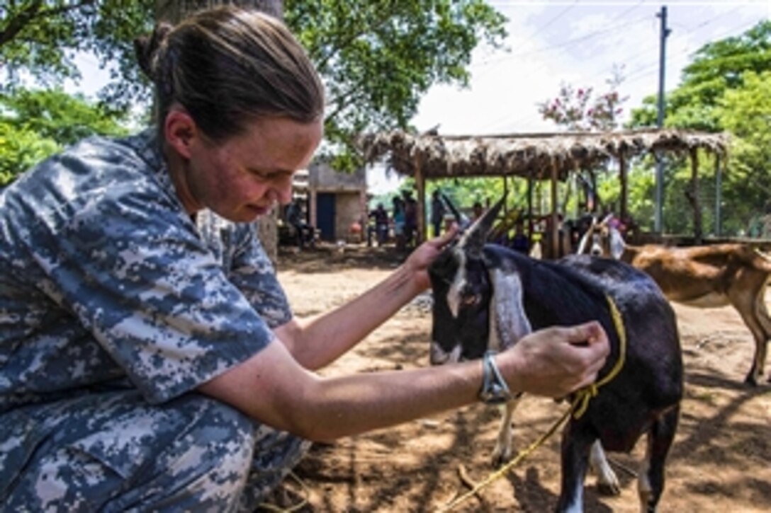 U.S. Army Capt. Emily Corbin examines a goat at a farm during a veterinary event to support Continuing Promise 2015 in Acajutla, El Salvador, June 20, 2015. Corbin is a veterinarian assigned to Public Health Command District North on Fort Meade, Md.

