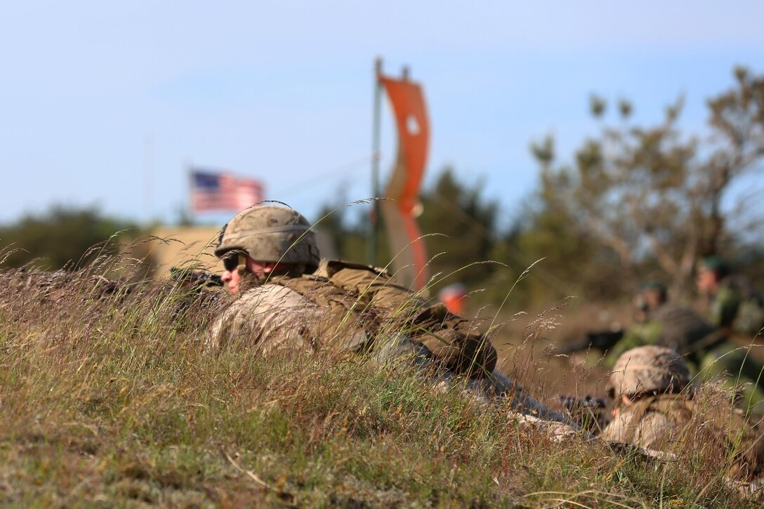 U.S. Marines from 1st Battalion, 6th Marine Regiment join an international Corps of Marines from Sweden, Finland, and the U.K. to conduct amphibious assaults on a beachhead in Ravlunda, Sweden, for local media outlets during BALTOPS 2015, June 11-13. The amphibious forces are part of 17 NATO Allies and partner nations that are integrated in air, land, and sea operations to improve their combined-force capability to work together and to respond to threats in the Baltic region.