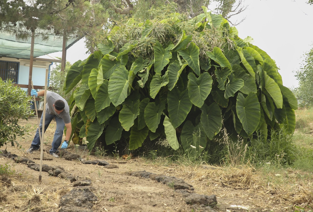 Marine Staff Sgt. Luis Velez, a watch officer assigned to Special-Purpose Marine Air-Ground Task Force Crisis Response-Africa, helps construct a makeshift path at the “Colonia Don Bosco” in Catania, Italy, June 18, 2015. More than 25 Marines and Sailors with the unit and local residents helped construct a pathway which takes camp-goers from one area of the camp to the other. (U.S. Marine Corps photo by Cpl. Lucas Hopkins/Released)