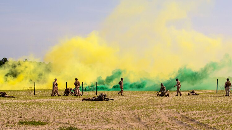 Marines with 2nd Combat Engineer Battalion, 2nd Marine Division, instruct service members from 4th CEB, 4th Marine Division, stationed in various parts of the U.S., and the 119th Engineer Company with the West Virginia Army National Guard during the SAPPER Leaders Course at Marine Corps Base Camp Lejeune, North Carolina, June 26, 2015. During the course, they used assault and breaching techniques to clear a wire obstacle using line charges with C4 explosives.